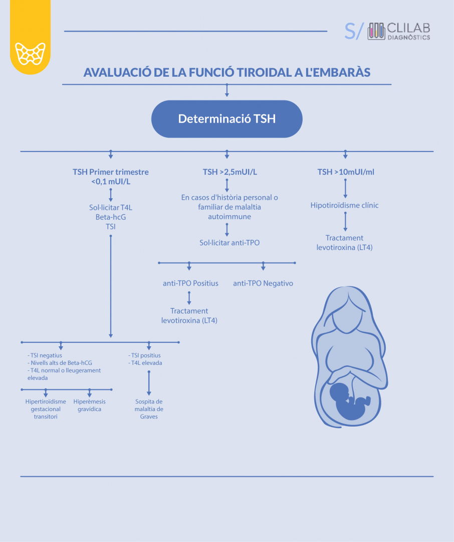 Evaluació de la funció tiroidal a l’embaràs