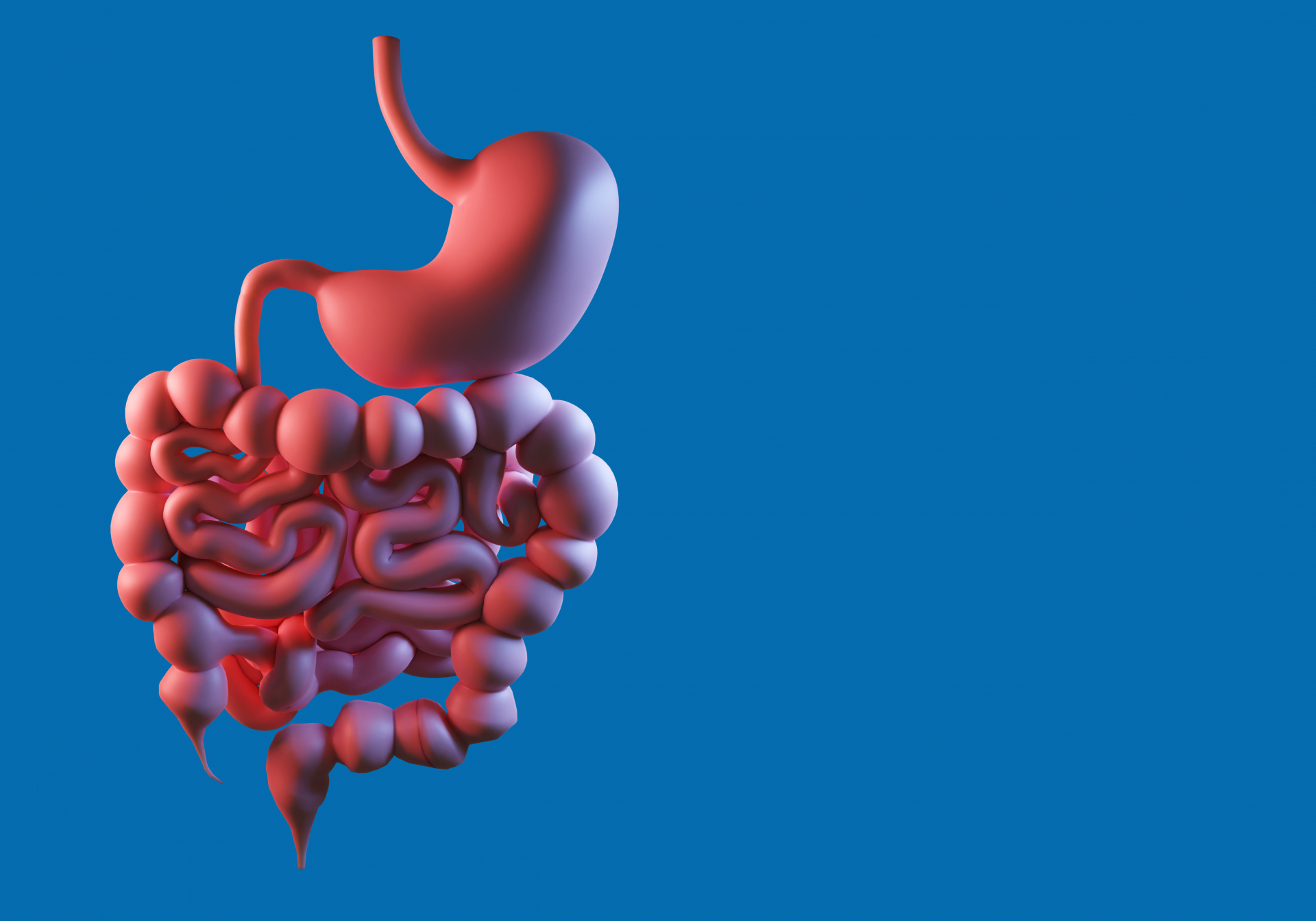Malaltia inflamatòria intestinal: paper del laboratori clínic en el diagnòstic