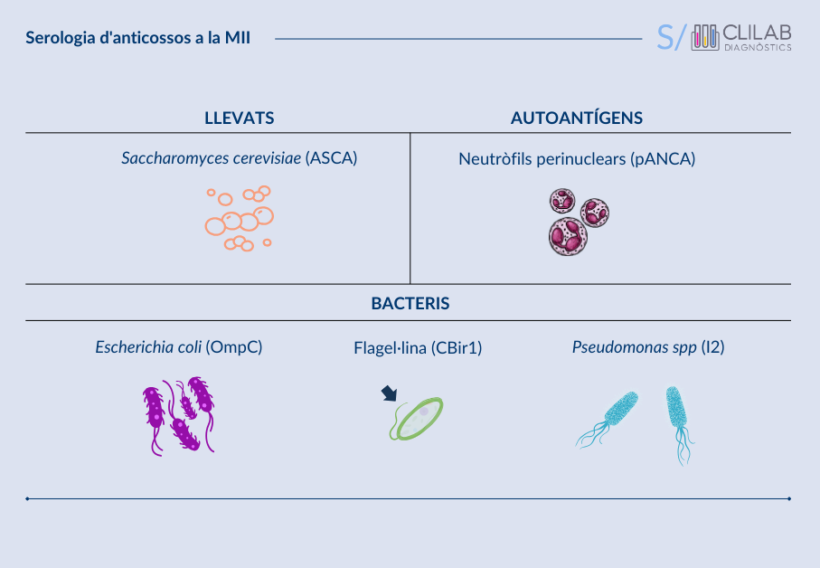 Serologia d'anticossos a la MII