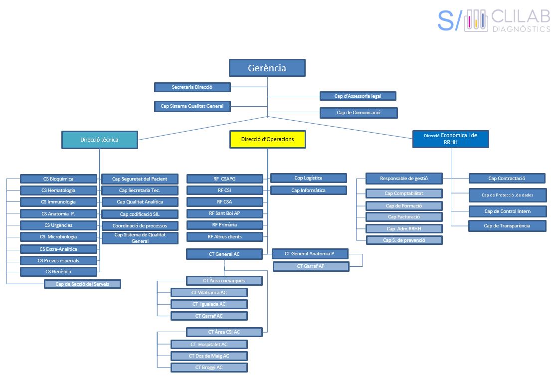 Organigrama del CLILAB