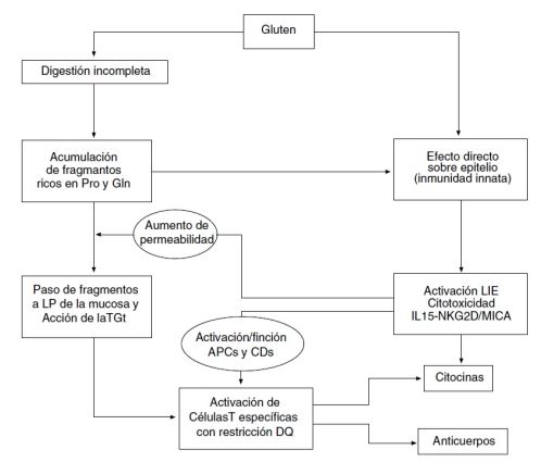 Figura1